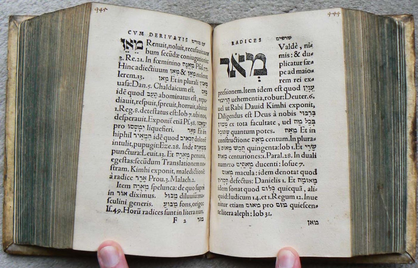 Dictionarium Hebraicum, ultimo ab autore Sebastiano Munstero recognitum, 1564