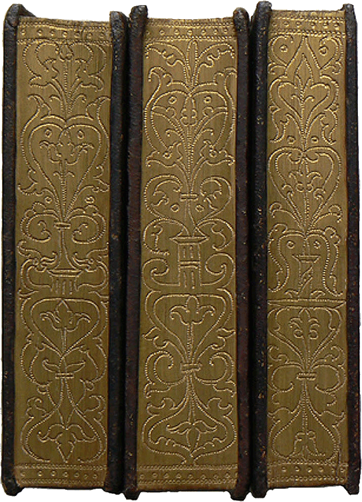 Pariser Maroquinbände des 16. Jh.: gepunzte Schnitte / Marcus Tullius Cicero — Paulus Manutius: Epistolae familiares, 1544