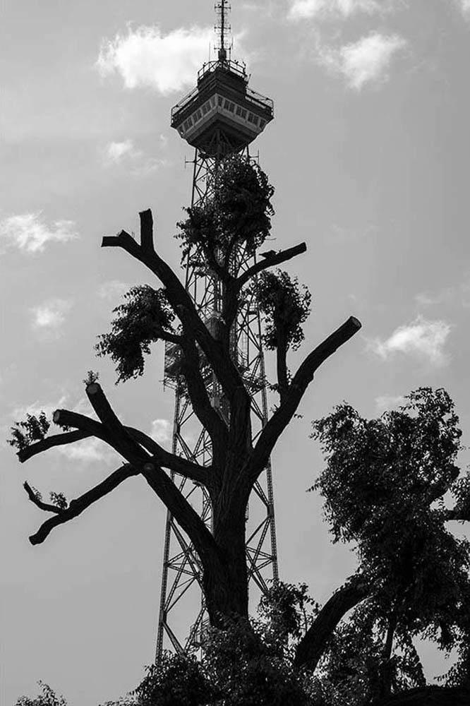 Architektur - Baum vor dem Berliner Funkturm | © Rainer Friedrich Meyer