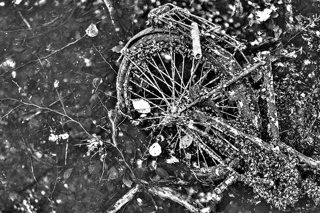 Berlin-Tiergarten: Fahrrad | © Rainer Friedrich Meyer