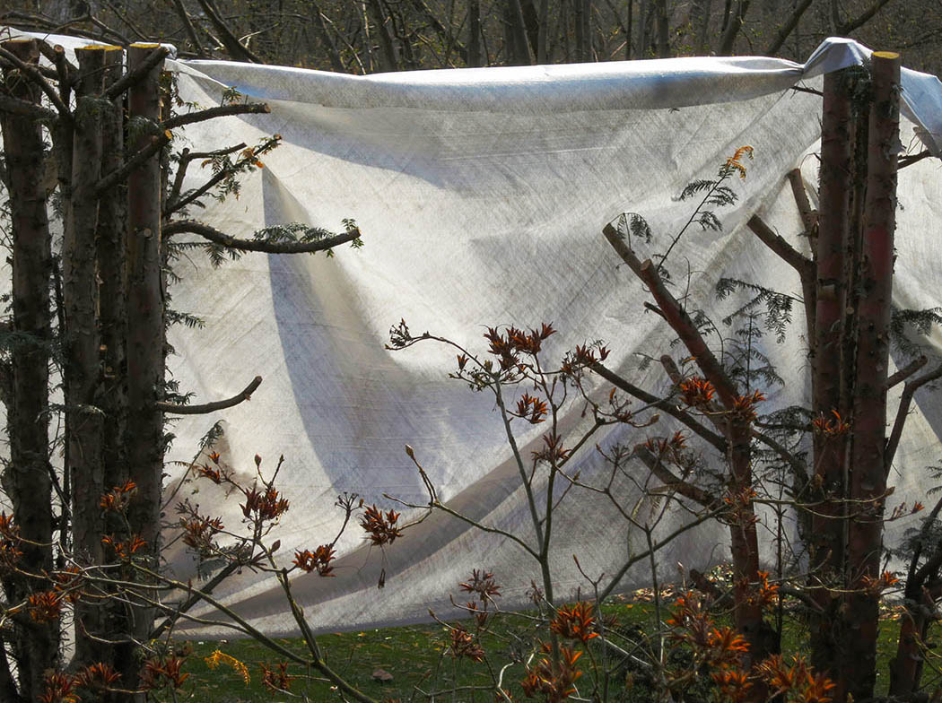 Berlin-Tiergarten: Running Fence | © Rainer Friedrich Meyer