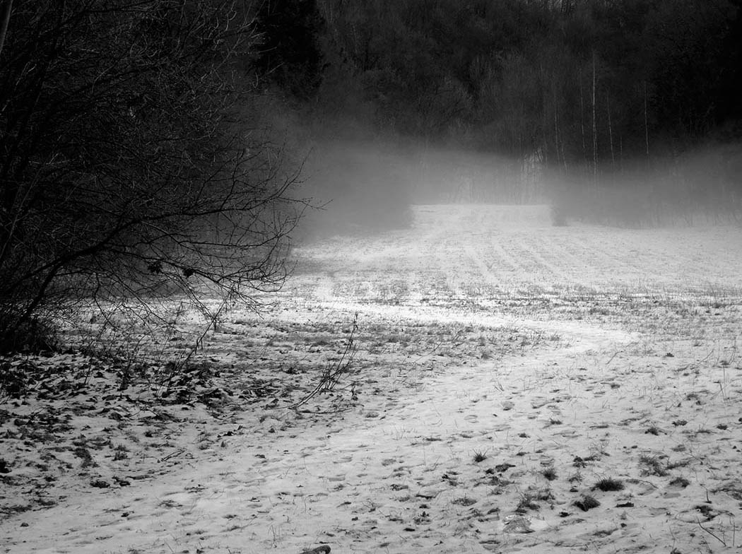 Nebel | © Rainer Friedrich Meyer